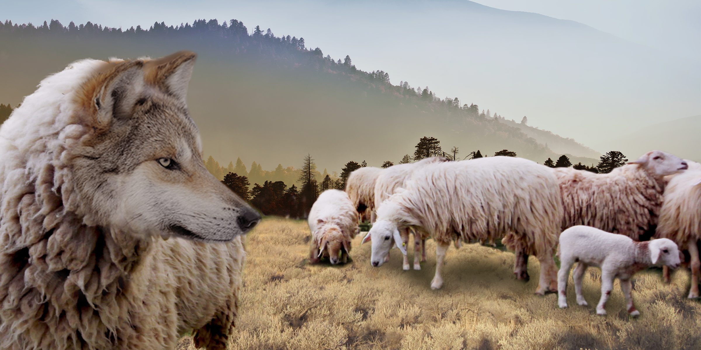 Real Financial Planning or Wolf in Sheep’s Clothing?