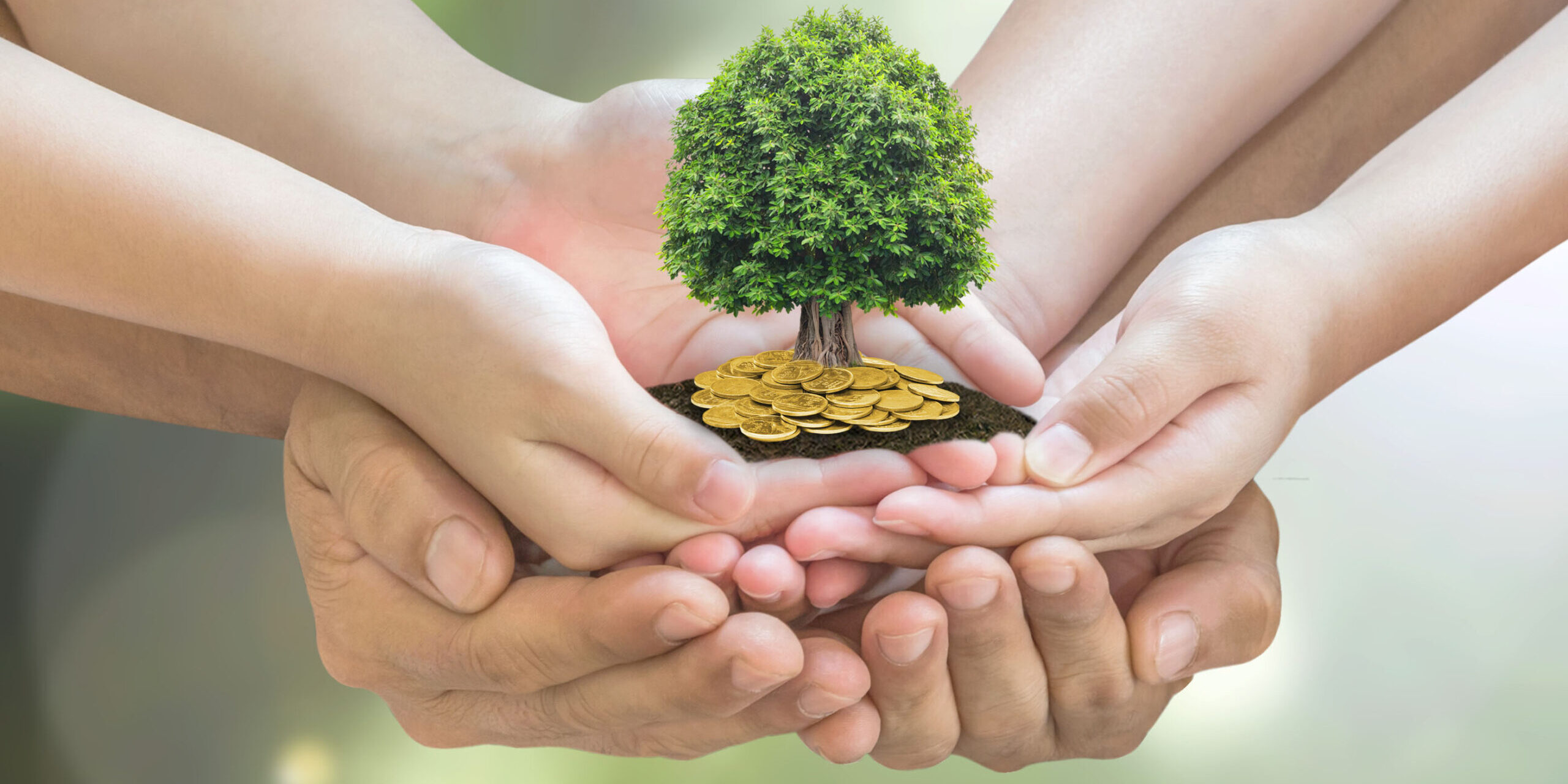 Retirement planning and family investment concept with wealthy tree growing on parent -children’s hands